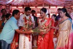 Tamil Stars at Amala Paul Wedding  - 15 of 15