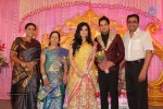 Tamil Stars at Bharat n Jessy Wedding Reception - 1 of 160