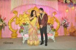 Tamil Stars at Bharat n Jessy Wedding Reception - 26 of 160