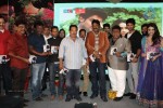 Tanu Monne Vellipoyindi Audio Launch  - 12 of 72