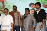 Tanu Monne Vellipoyindi Audio Launch  - 17 of 72