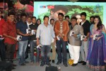 tanu-monne-vellipoyindi-audio-launch