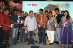 tanu-monne-vellipoyindi-audio-launch