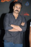 Telugabbai Movie Audio Launch - 17 of 48