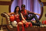 Telugu Ammayi Movie Song Coverage - 27 of 80