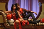 Telugu Ammayi Movie Song Coverage - 38 of 80