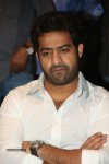 Temper Movie Success Meet 01 - 87 of 120