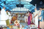 TFI Amrutha Pasupata Maha Mrityunjaya Homam Day 1 - 2 of 120