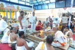 TFI Amrutha Pasupata Maha Mrityunjaya Homam Day 1 - 16 of 120