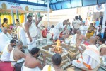 tfi-amrutha-pasupata-maha-mrityunjaya-homam-day-1