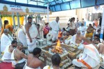 TFI Amrutha Pasupata Maha Mrityunjaya Homam Day 1 - 82 of 120