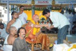TFI Amrutha Pasupata Maha Mrityunjaya Homam Day 1 - 84 of 120