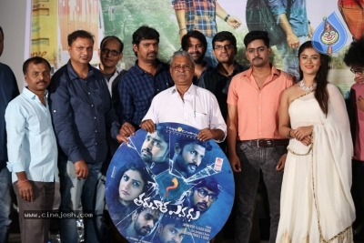 Tharuvatha Evaru Movie Audio Launch - 2 of 21