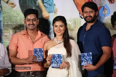 Tharuvatha Evaru Movie Audio Launch - 14 of 21