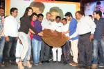 The Bells Movie Audio Launch - 17 of 160