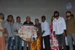 Therodum Veedhiyile Tamil Movie Audio Launch - 19 of 49