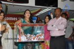 Celebs at TMC 2011 Dhanteras Special Draw  - 80 of 220