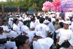 Tolly Celebs at Cancer Hospital for Breast Cancer Awareness Program - 135 of 249