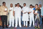 Tommy Movie Audio Launch - 3 of 75