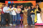 Uyyala Jampala Audio Launch - 27 of 176