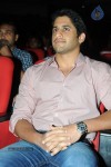 Uyyala Jampala Audio Launch - 135 of 176