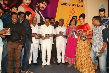 Vaadu Veedu O Kalpana Audio Launch - 5 of 16