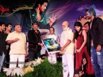 Vastadu Naa Raju Movie Audio Launch - 1 of 27