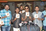 Vatapatra Sai Album Launch - 18 of 29