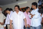 Seethamma Vakitlo Sirimalle Chettu Movie Opening