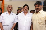 Seethamma Vakitlo Sirimalle Chettu Movie Opening