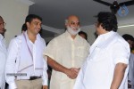 Seethamma Vakitlo Sirimalle Chettu Movie Opening