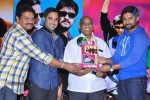 Veta Movie Platinum Disc Function  - 26 of 79