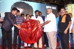 Vikram I Movie Audio Launch 04 - 172 of 224