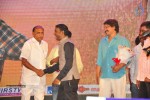 Vinavayya Ramayya Audio Launch 02 - 35 of 79