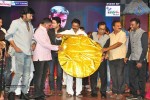 Vinavayya Ramayya Audio Launch 03 - 20 of 50
