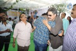 vinavayya-ramayya-movie-opening