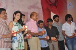 Virattu Tamil Movie Audio Launch - 14 of 48