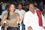 Writer Movie Audio Launch - 52 of 74