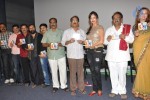 Writer Movie Audio Launch - 70 of 74