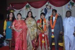 Y Vijaya Daughter Wedding Reception - 9 of 48