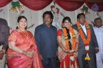 Y Vijaya Daughter Wedding Reception - 18 of 48