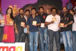 Yamudiki Mogudu Movie Audio Launch - 137 of 139