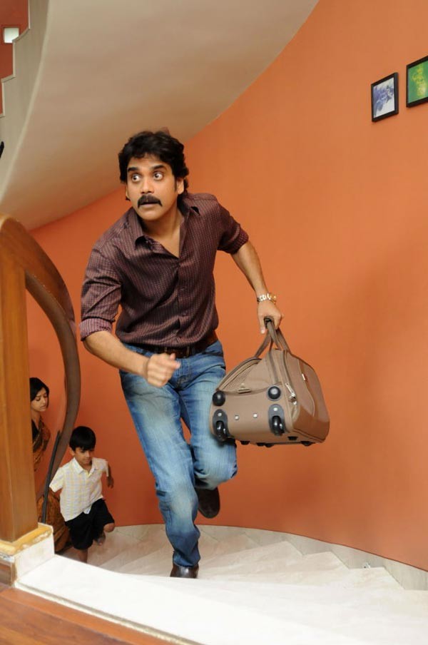 Nagarjuna New Movie Photos - 12 / 13 photos