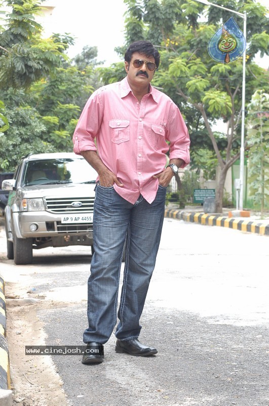 Balakrishna's Simha Movie Latest Gallery - 4 / 40 photos