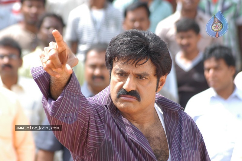 Balakrishna's Simha Movie Latest Gallery - 5 / 40 photos