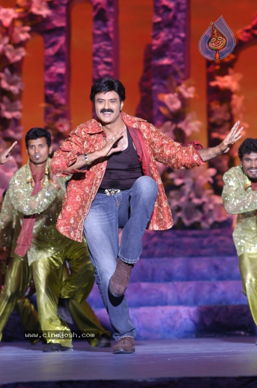 Balakrishna's Simha Movie Latest Gallery - 9 / 40 photos