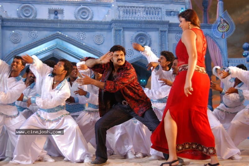 Balakrishna's Simha Movie Latest Gallery - 12 / 40 photos