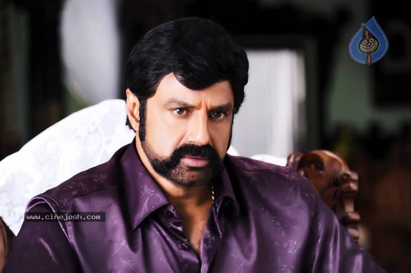 Balakrishna's Simha Movie Latest Gallery - 16 / 40 photos