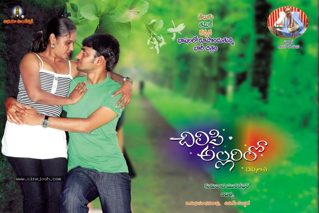 Chilipi Allarilo Chinni Aasa Movie Wallpapers - 9 / 9 photos