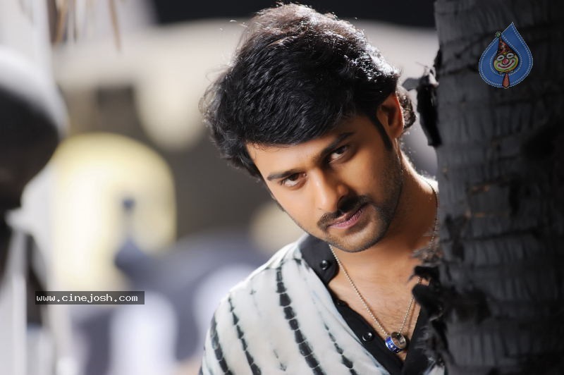 Darling Movie Latest Unseen Gallery - 18 / 28 photos